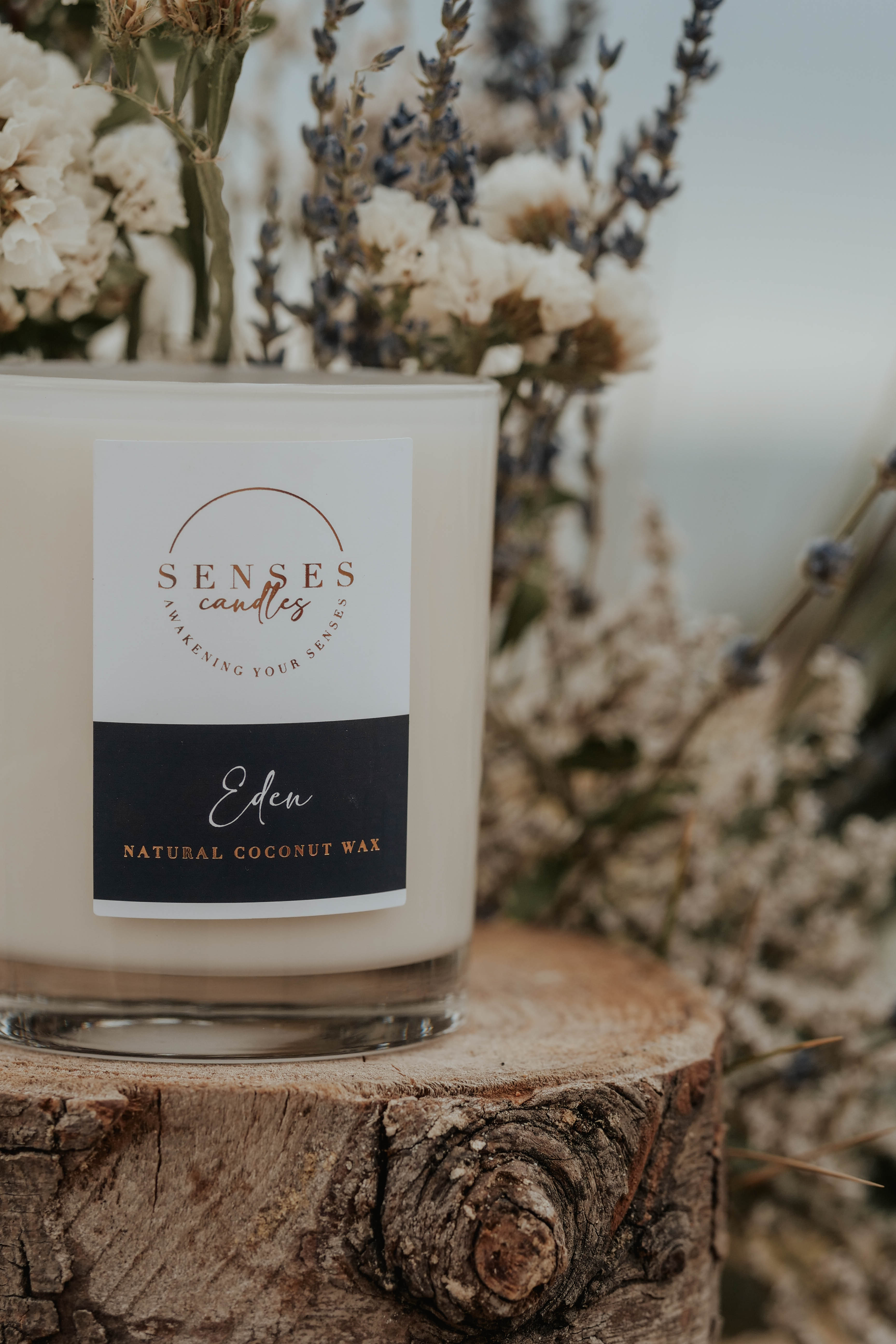 Eden Coconut Wax Blend Luxury Candle - Coconut & Sandalwood